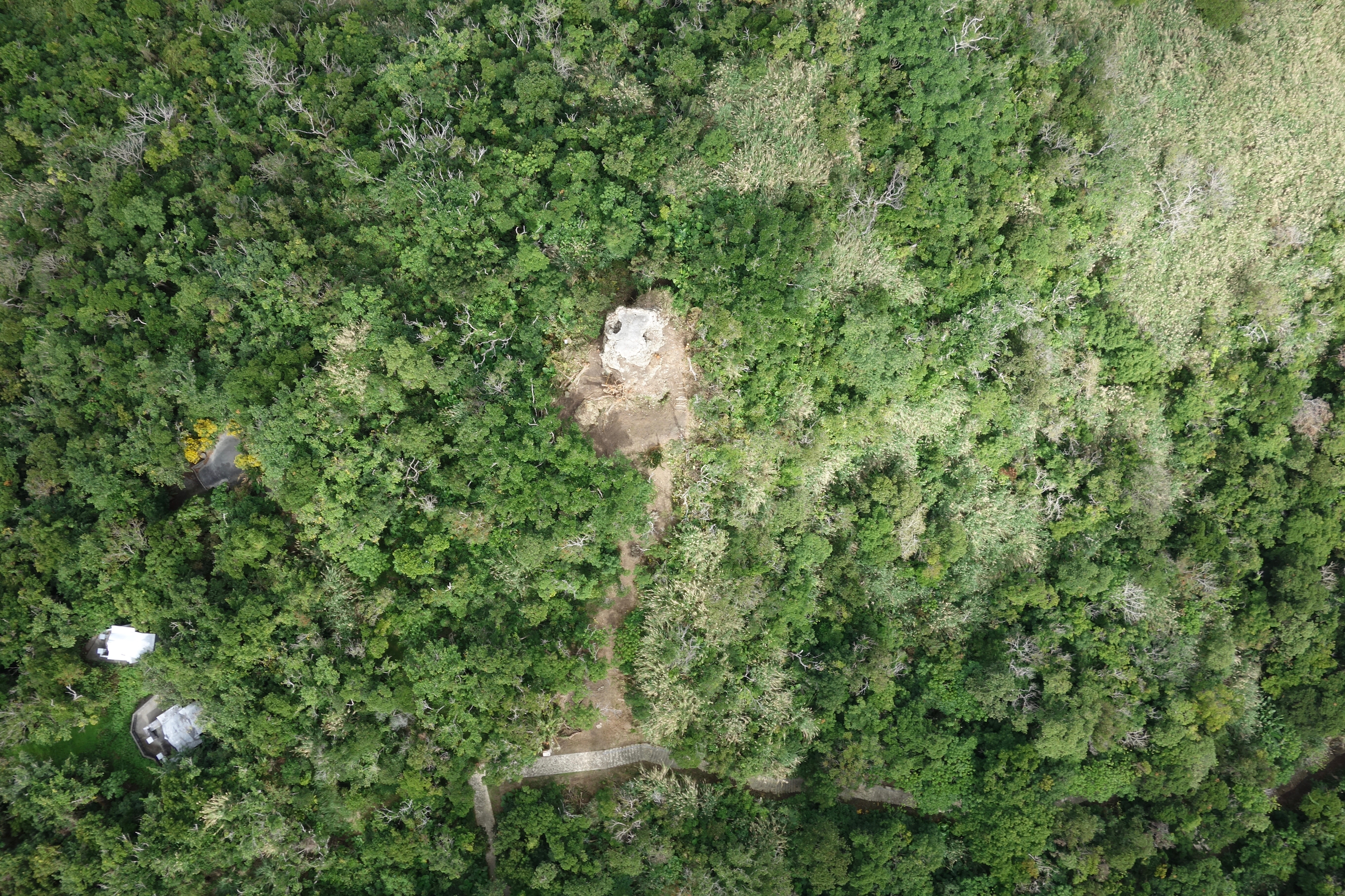 戦跡1 161.8高地陣地⑦