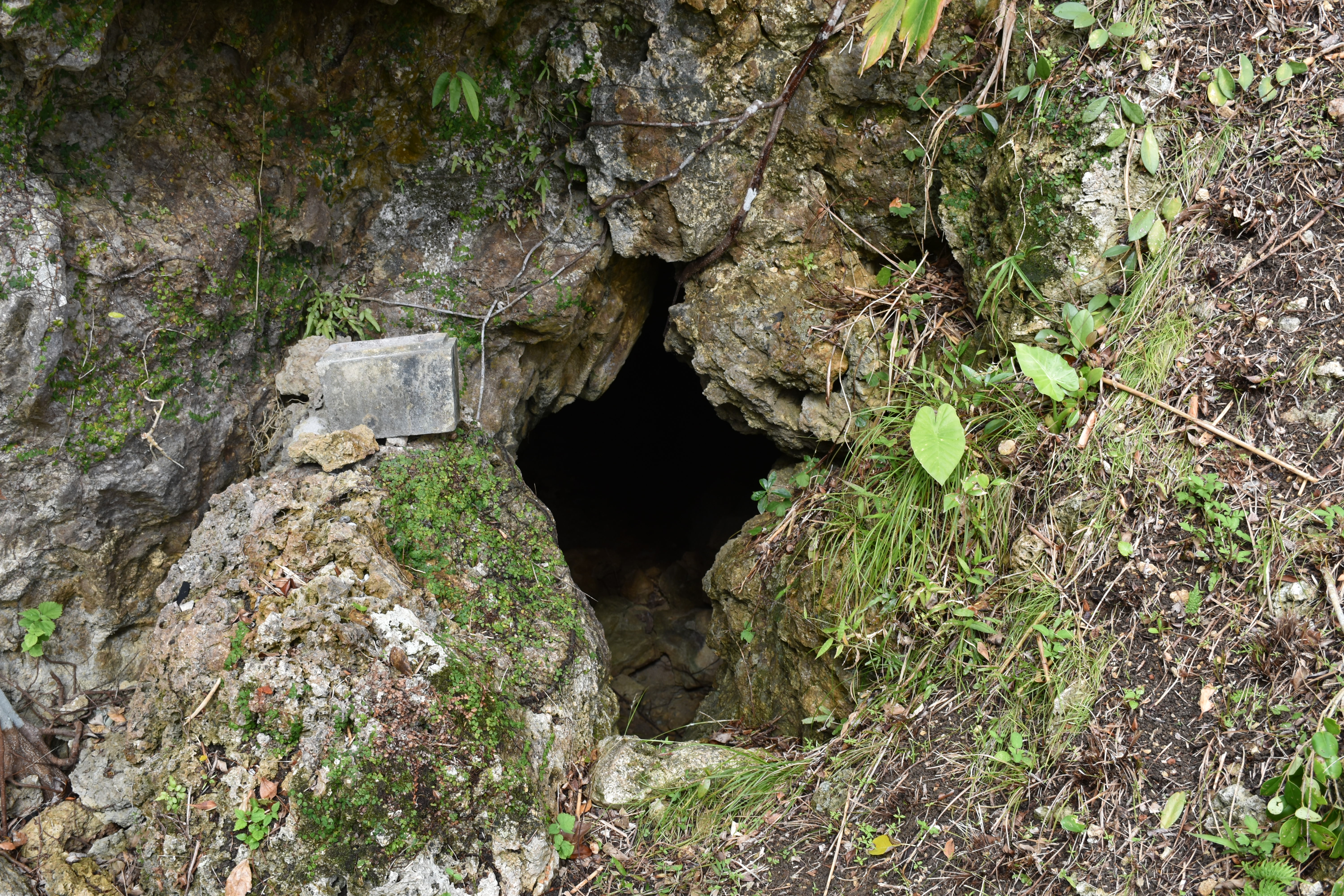 戦跡1 161.8高地陣地②