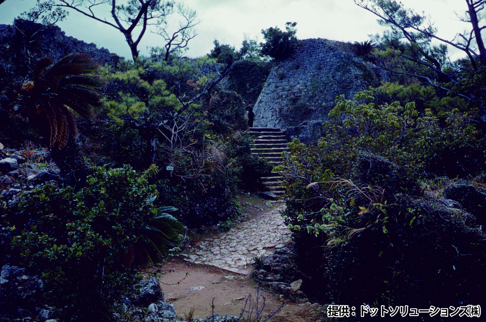 79 中城城跡　三の郭への階段