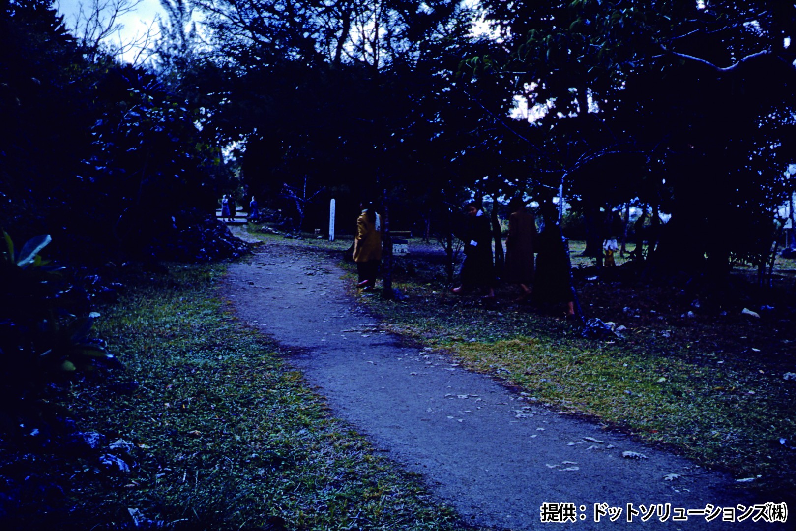 86 中城城跡　西の郭正門付近