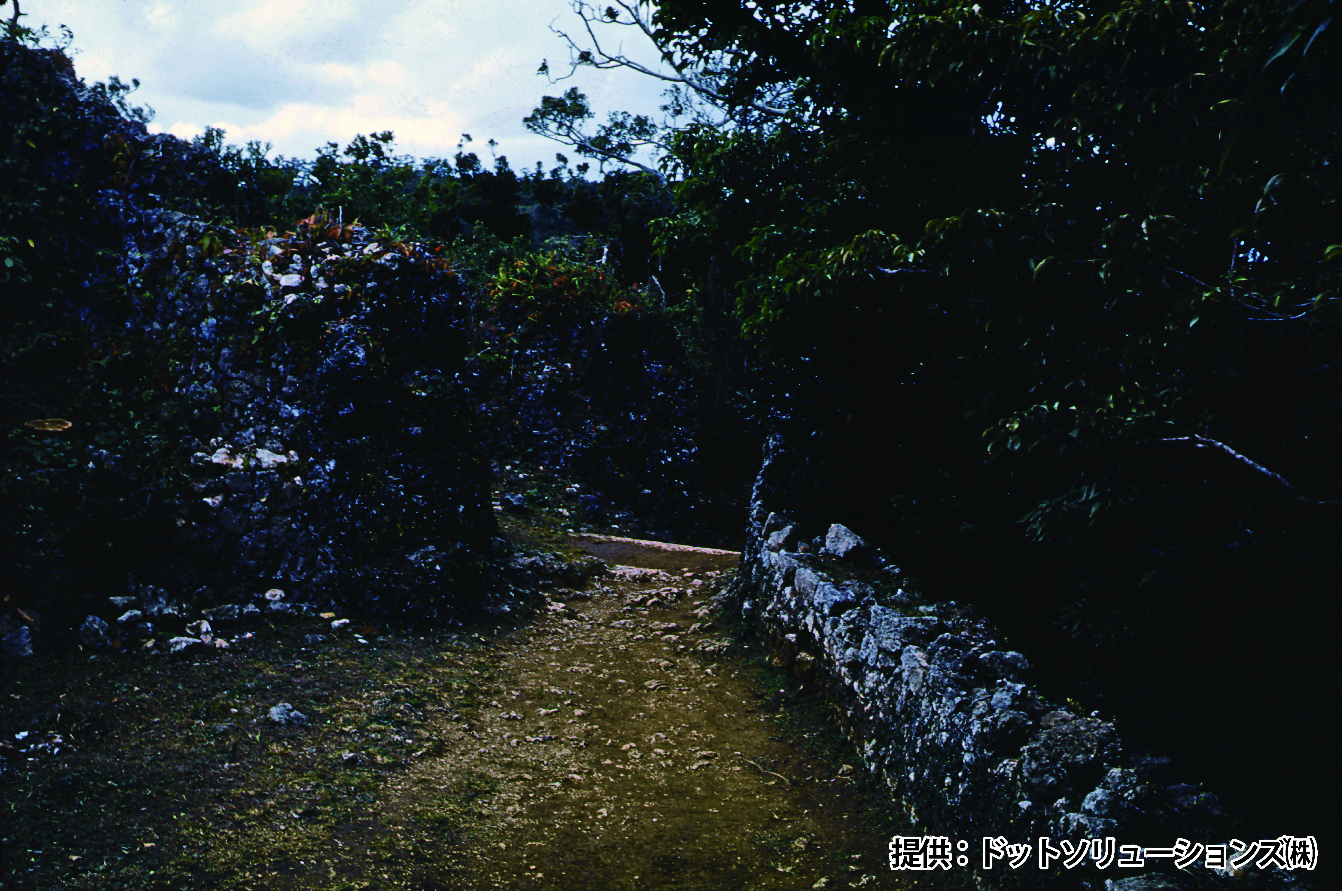 83 中城城跡　南の郭