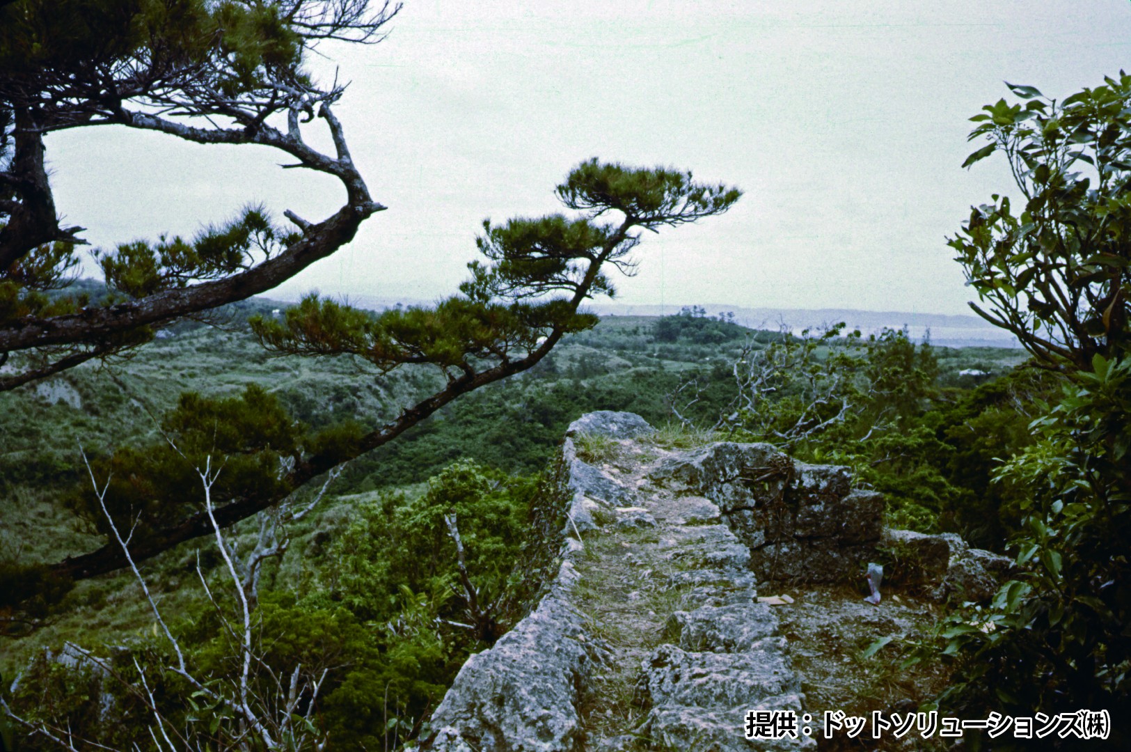 115 中城城跡から見た風景
