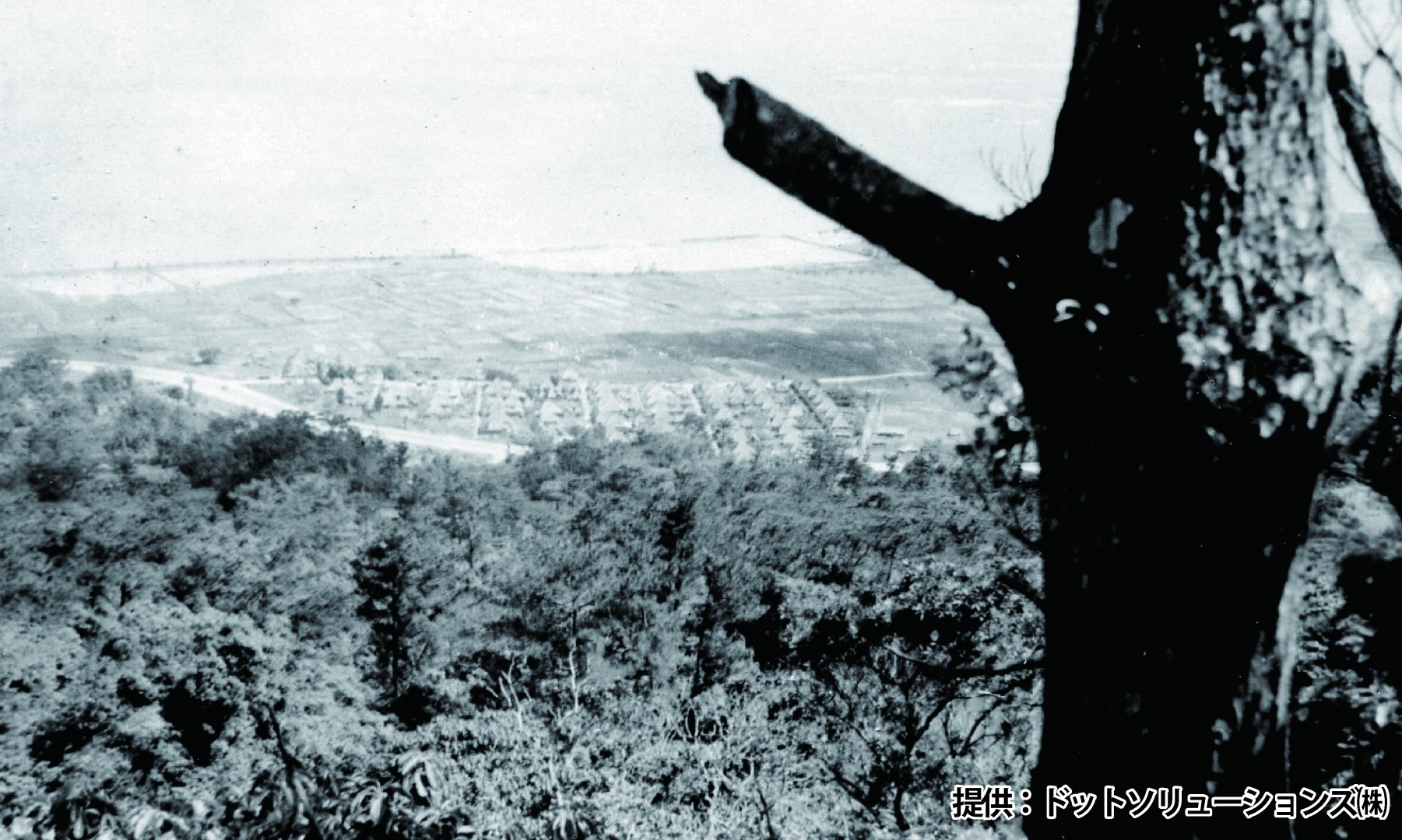 123 中城城跡より遠景　