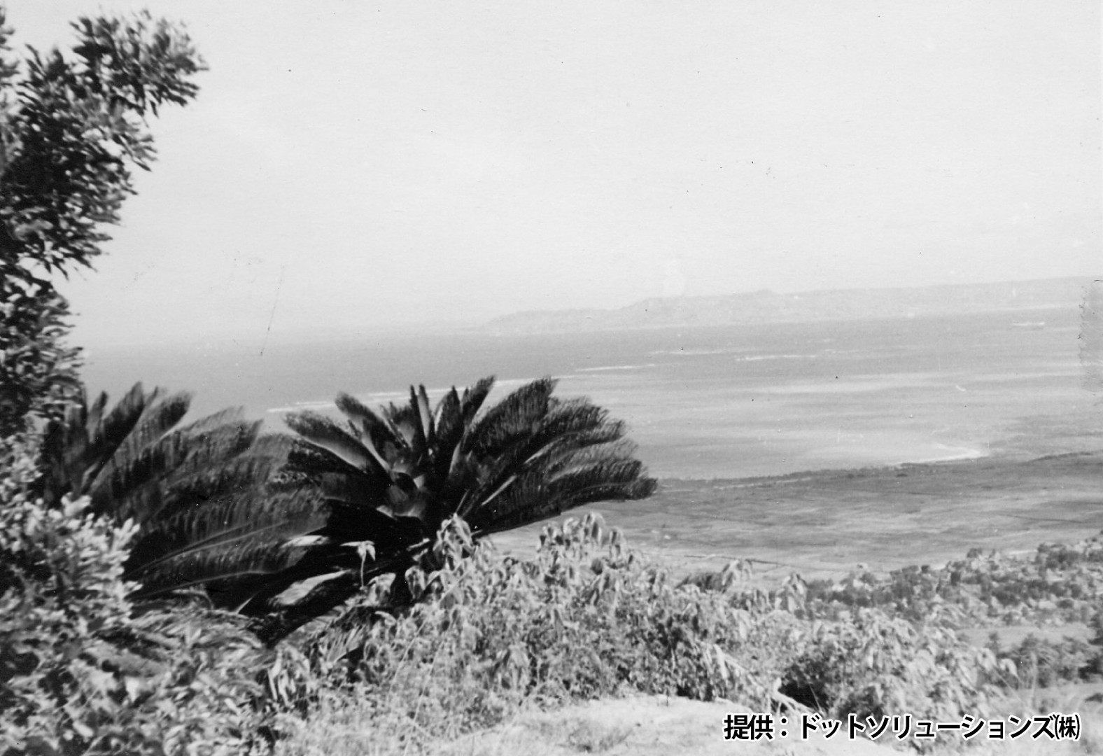 103 中城城跡から見た中城の遠望