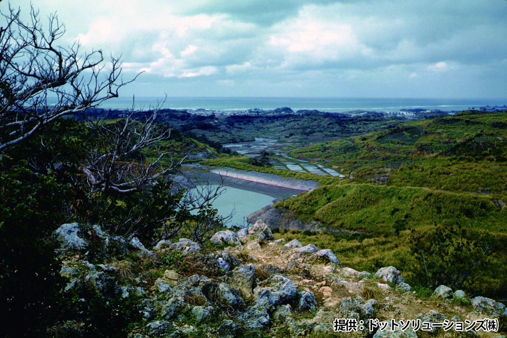 125 中城城跡　西の郭から見た風景