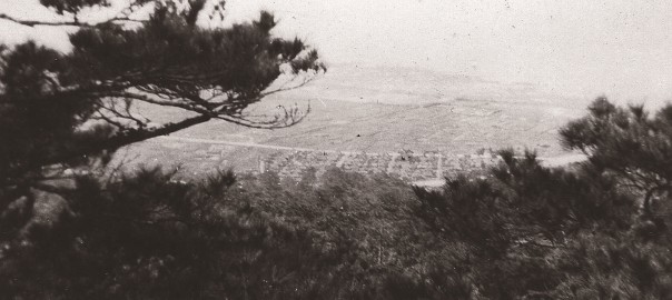 101 中城城跡から見た中城村