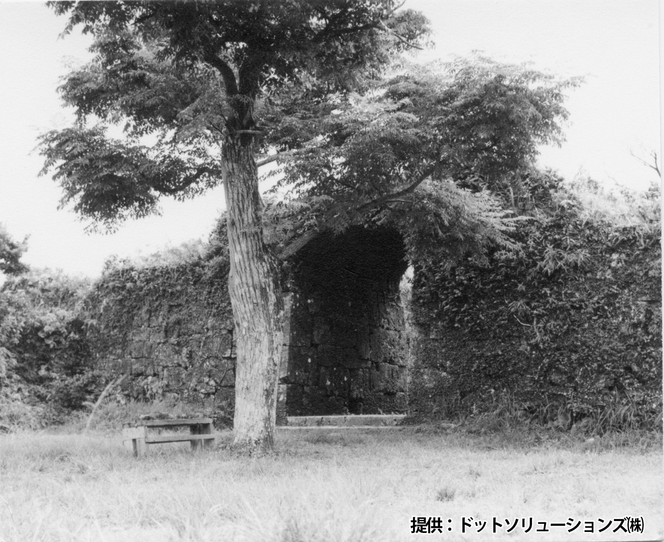 93 中城城跡　一の郭のアーチ門