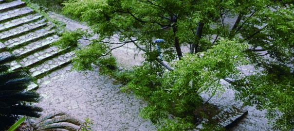 70 中城城跡　南の郭に続く階段