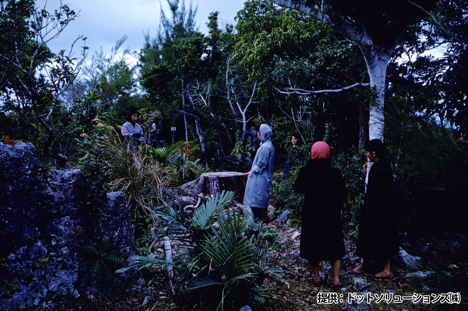 81 中城城跡　南の郭