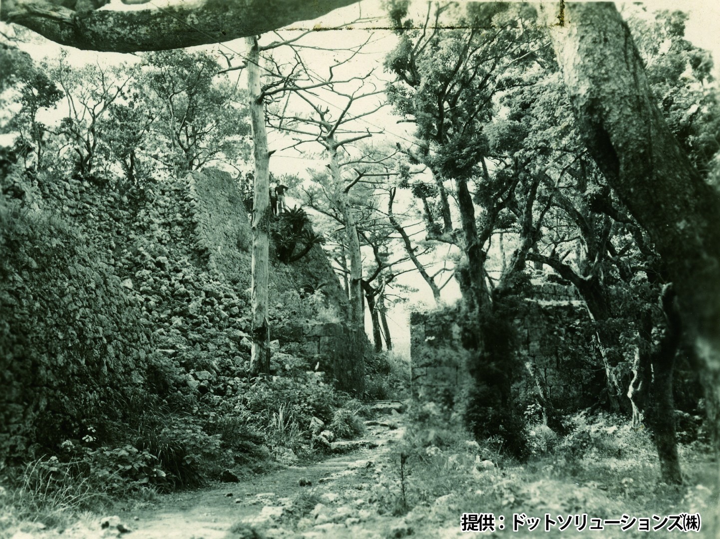 45 中城城跡　正門