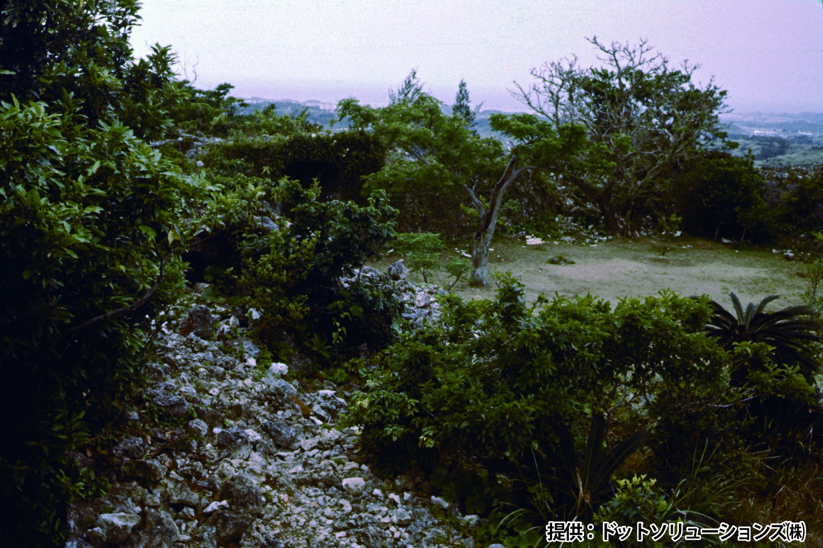 72 中城城跡　一の郭