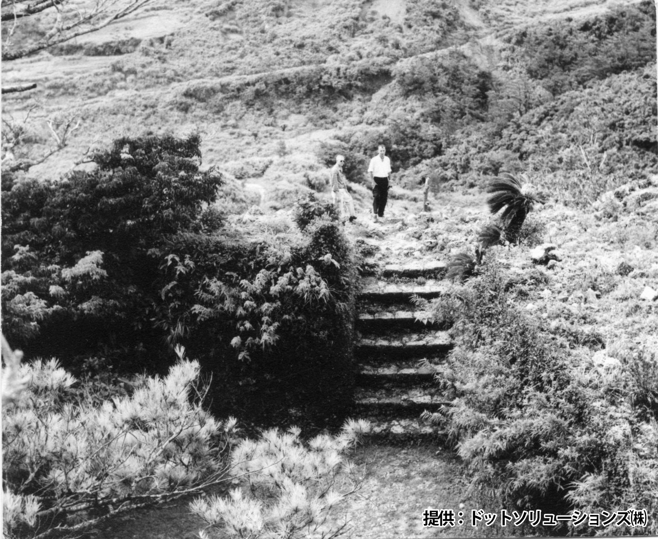 92 中城城跡　裏門から撮影か？