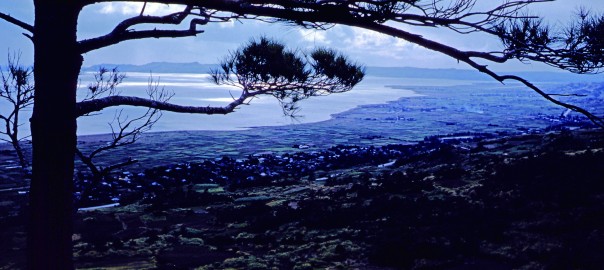 127 中城城跡からみた風景
